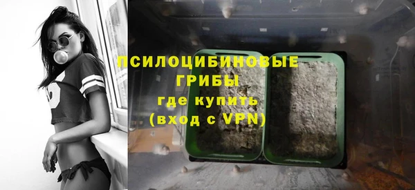 PSILOCYBIN Алексеевка