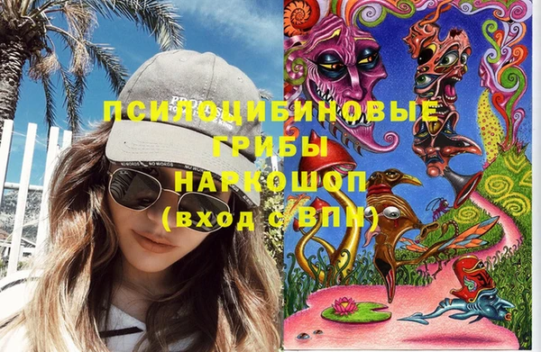 ECSTASY Ростов