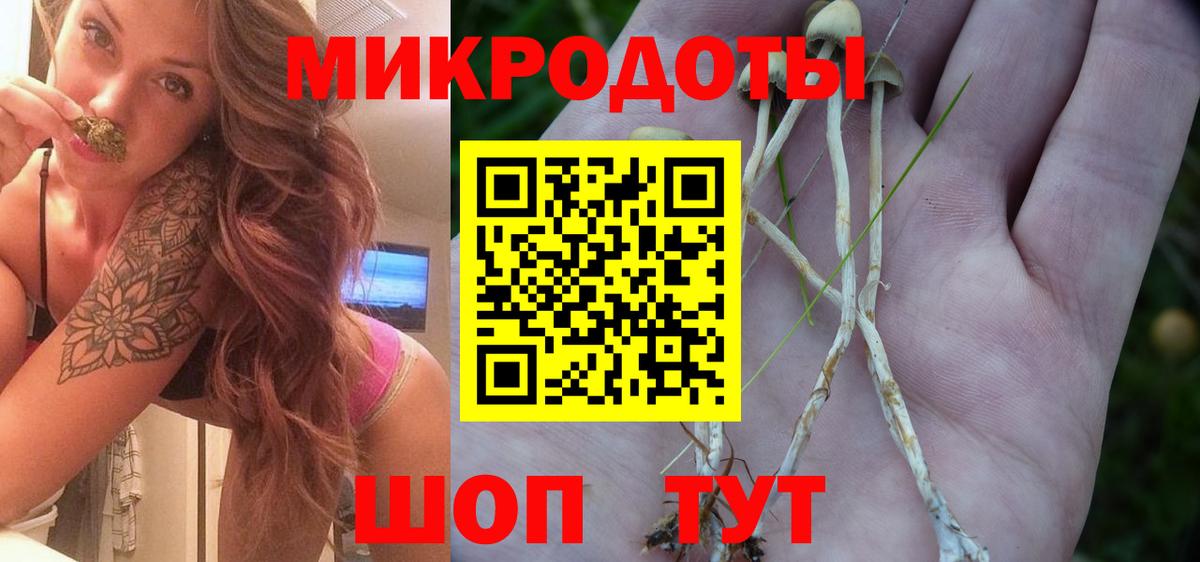 где можно купить наркотик  Галлюциногенные грибы мицелий  Вход с VPN  Волжский 
