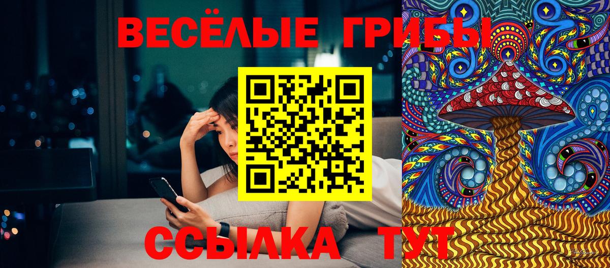 Галлюциногенные грибы мухоморы Волжский